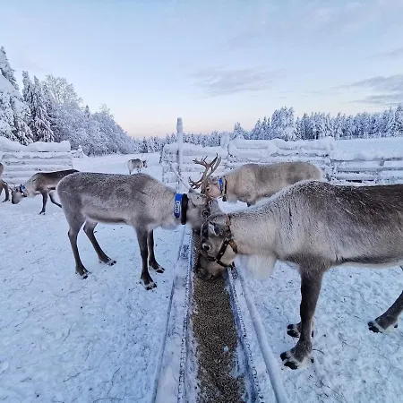 شقة Ahonlaita Paritalo Kaksio Saunalla 60m2 كوسامْوُ