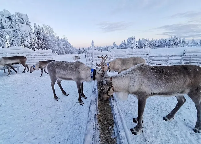 شقة Ahonlaita Paritalo Kaksio Saunalla 60m2 كوسامْوُ