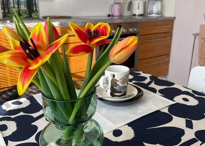 Ahonlaita Paritalo Kaksio Saunalla 60m2